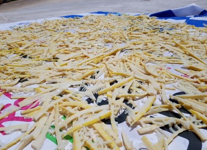  죽순 효능 보관방법