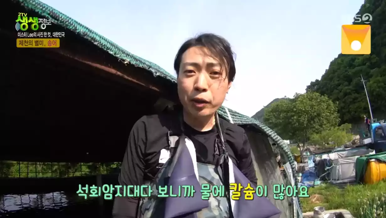 사장님
