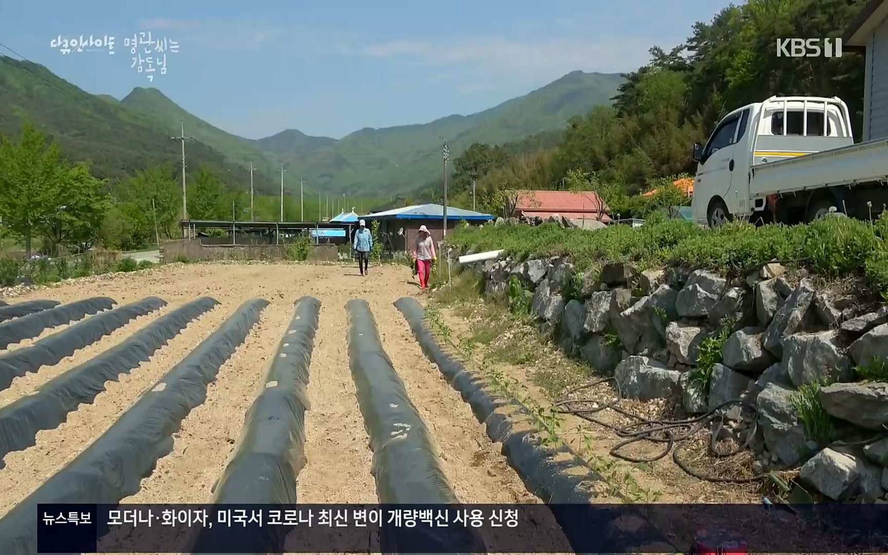 다큐 인사이트.E122.220825p.H264-F1RST.mp4_20220826_152305.494.jpg