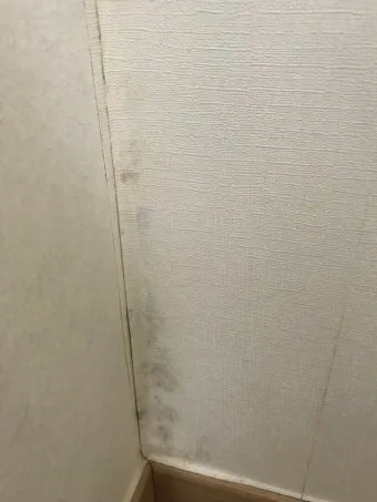 벽지 곰팡이 제거법 원인 파악과 셀프 클리닝 요령 정리_11