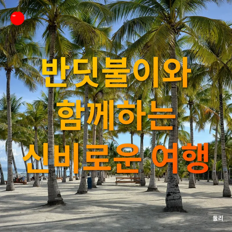 보홀 여행_3