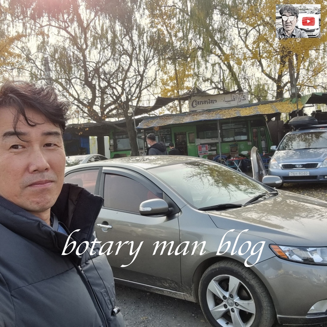  인천 포르테 중고차, 폐차 전에 먼저 수출 가격 알아보세요. #k3 #쎄라토