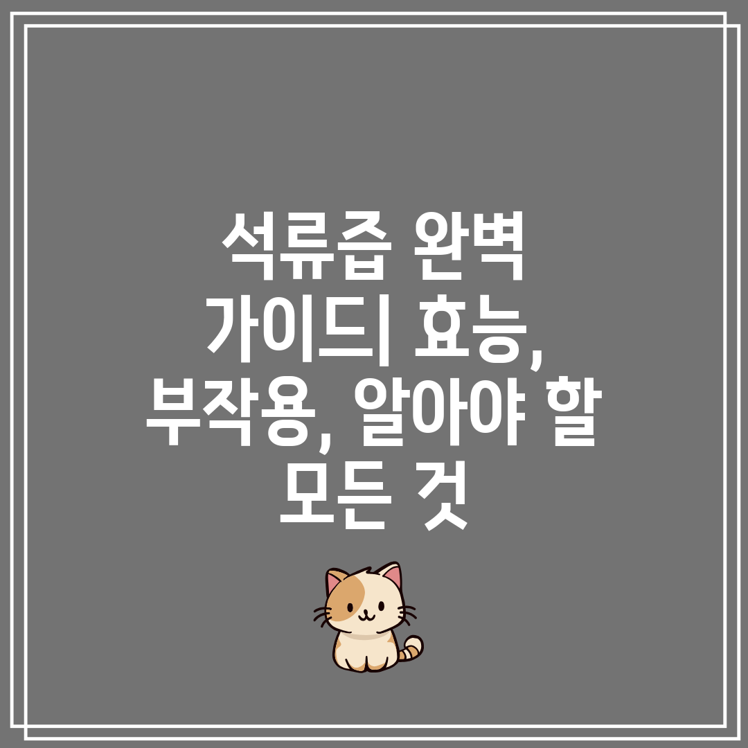 석류즙 완벽 가이드 효능, 부작용, 알아야 할 모든 것