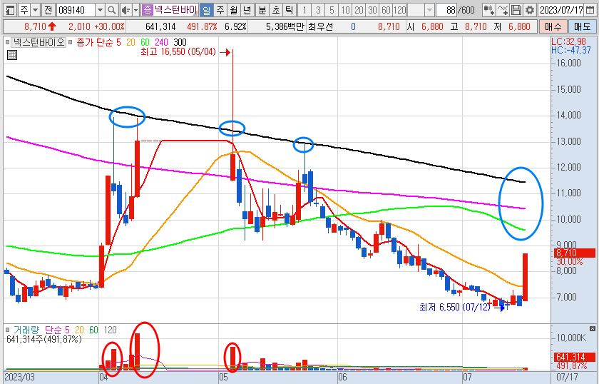 7월 17일 넥스턴바이오 일봉 차트 분석