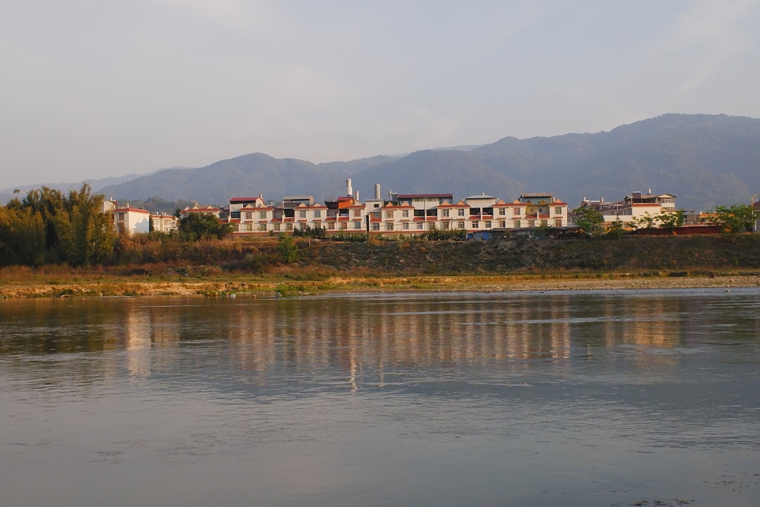 Samgyetang
