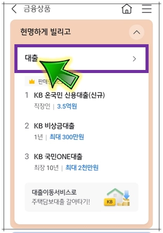 대출-선택