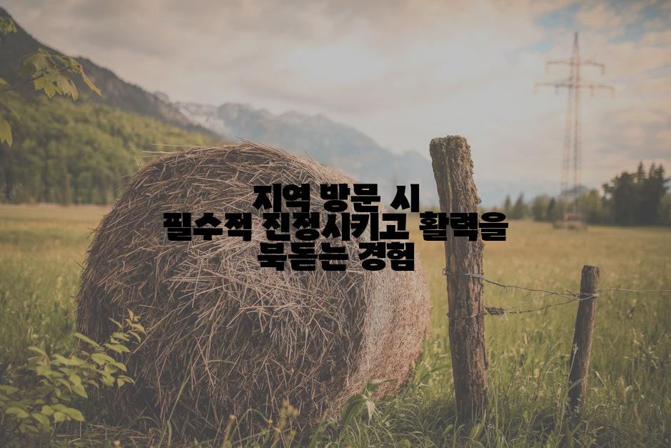 지역 방문 시 필수적 진정시키고 활력을 북돋는 경험