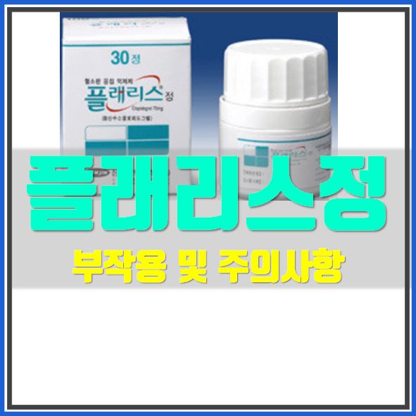  플래리스정 효능 부작용 정보