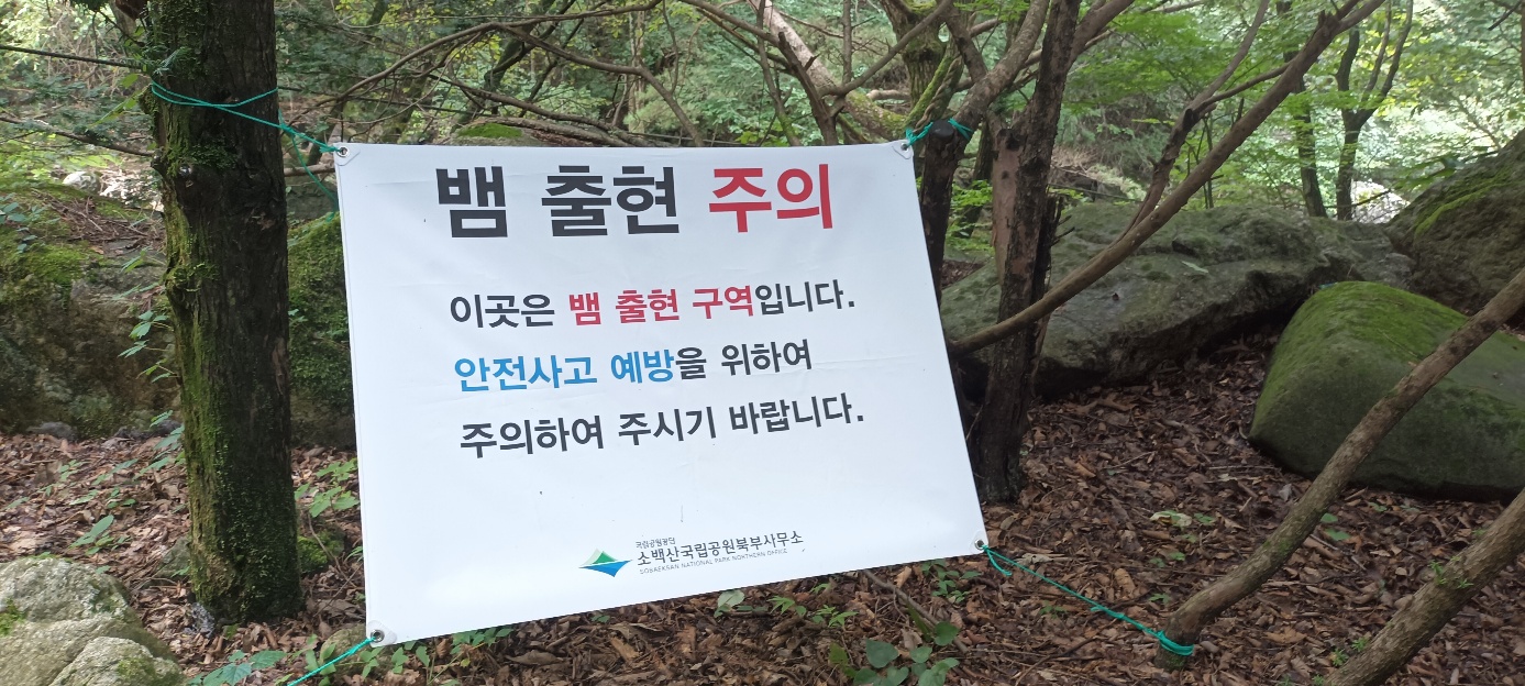 소백산국립공원 남천야영장 특화야영장 이미지