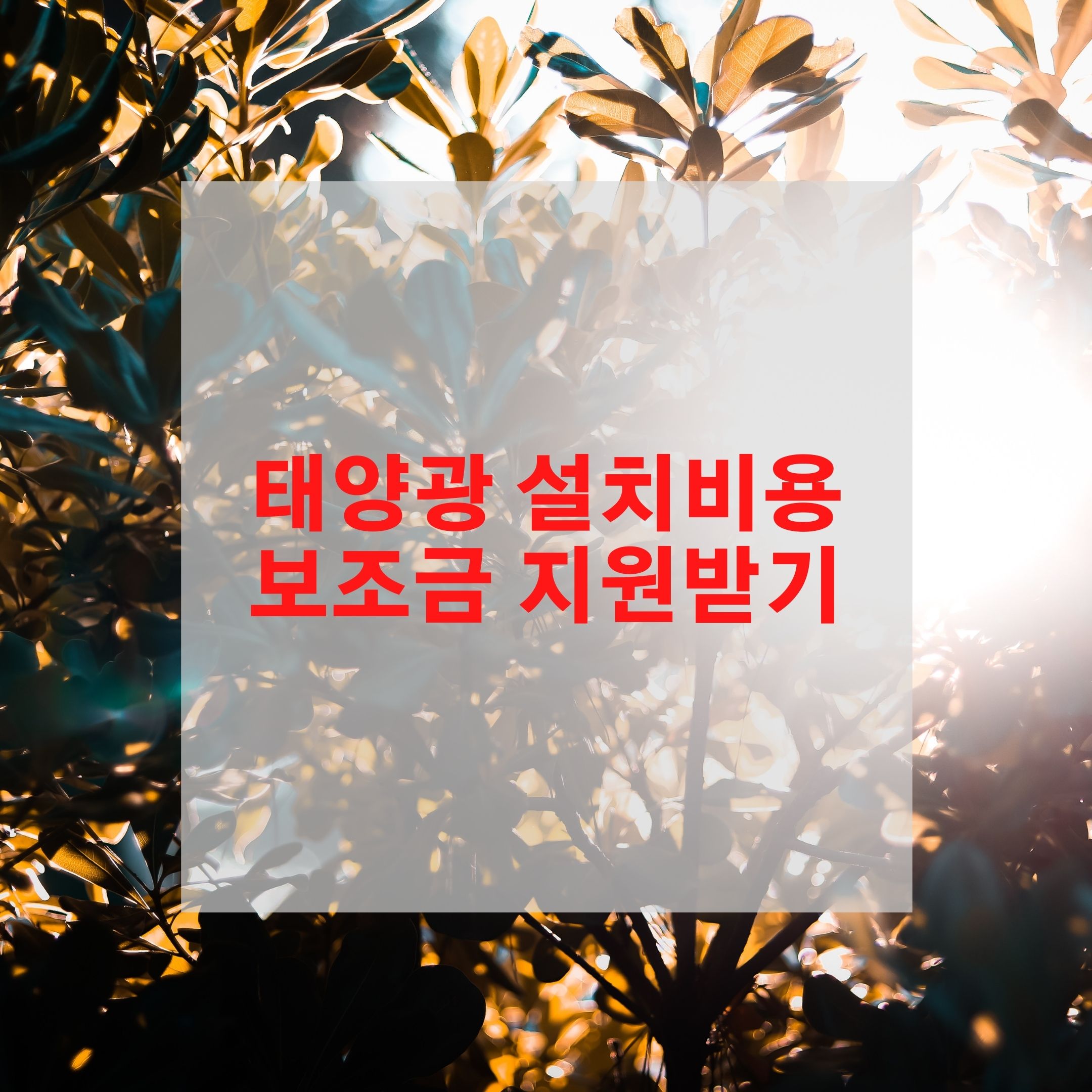  태양광 설치비용 보조금 지원받기