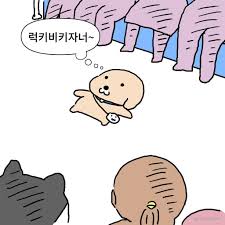 하다홀 이미지
