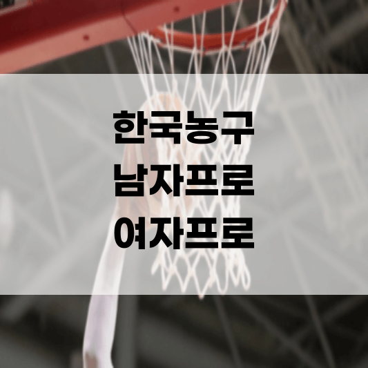 여자농구 남자 프로 kbl 순위 일정 중계 방송 하이라이트 티켓 예매 신인 개막 트래프트 협회 플레이오프