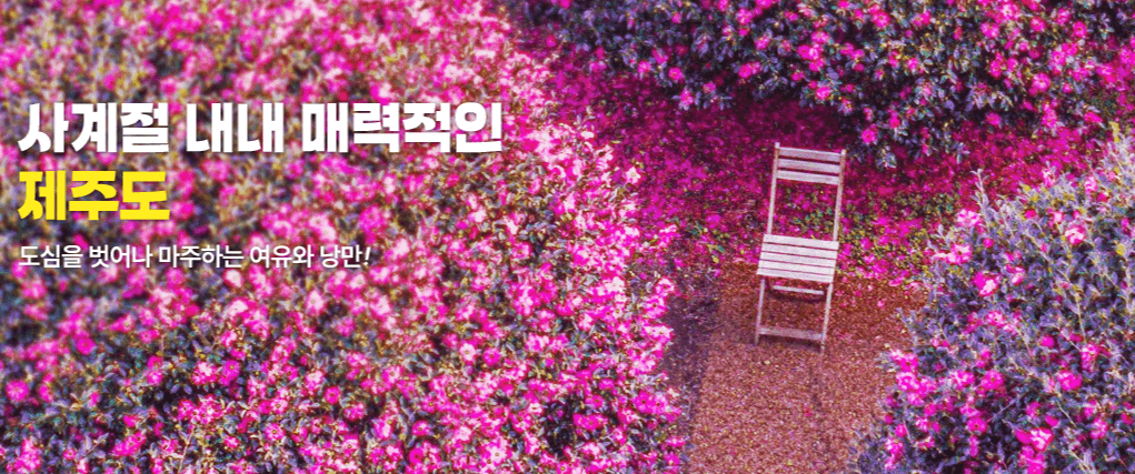 굿모닝여행사-제주도여행