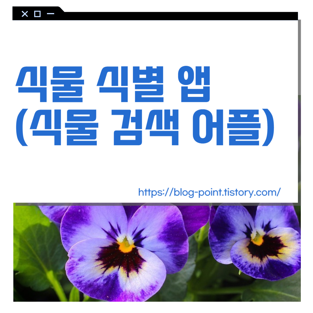 식물 식별 앱(식물 검색 어플)