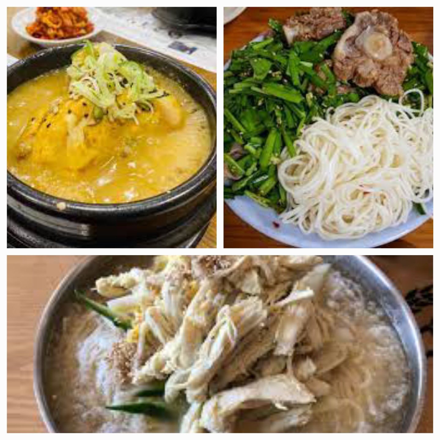 보양식 맛집