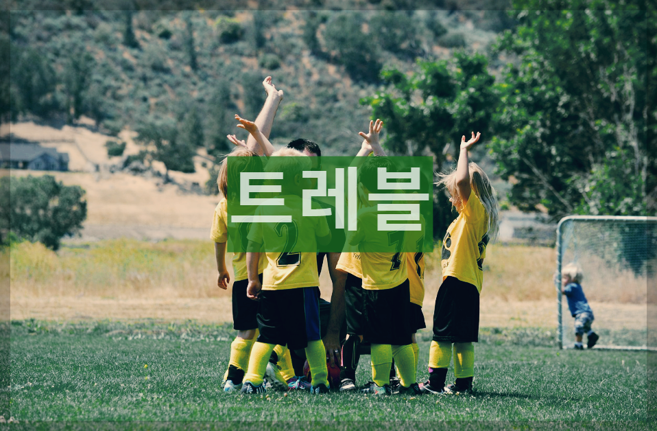  트레블 : 단일시즌 3관왕을 달성하는 최강의 팀에게 주어지는 명예