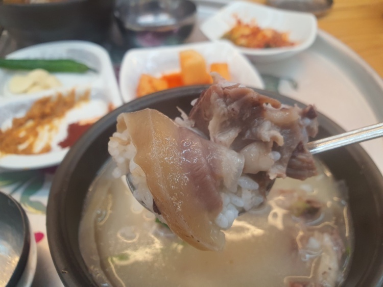 오늘N 소머리곰탕 영천 맛집 정보(위대한일터)