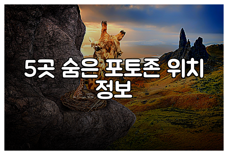 5곳 숨은 포토존 위치 정보