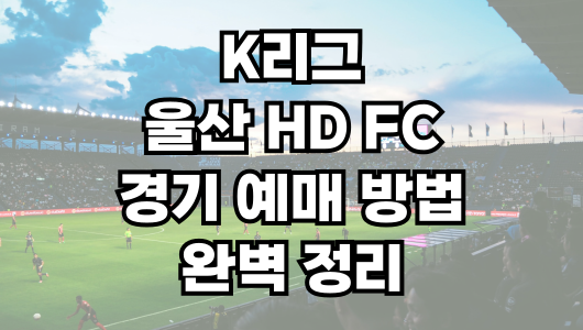 울산 HD FC 경기 예매 방법 완벽 정리! 티켓 예매 꿀팁까지