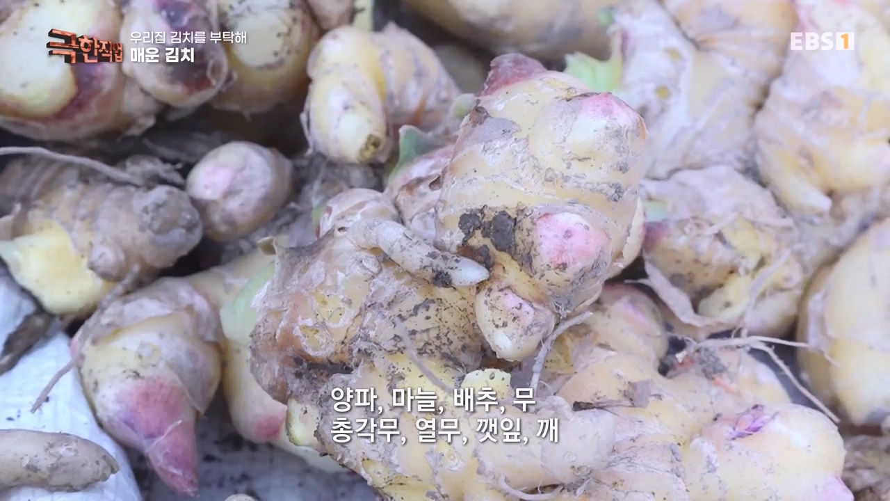 TV - 전 국민의 평생학교 EBS우리 집 김치를 부탁해.mp4_20231228_201816.805.jpg