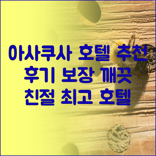 후기가 증명하는 아사쿠사 호텔 베스트