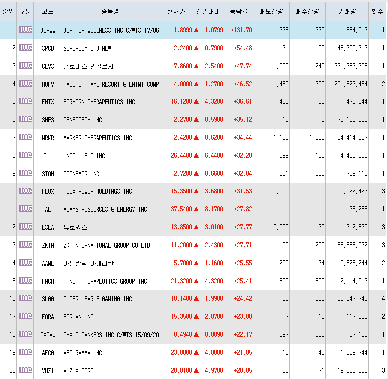 3월19일 미국주식 상승률 상위 종목 TOP 300