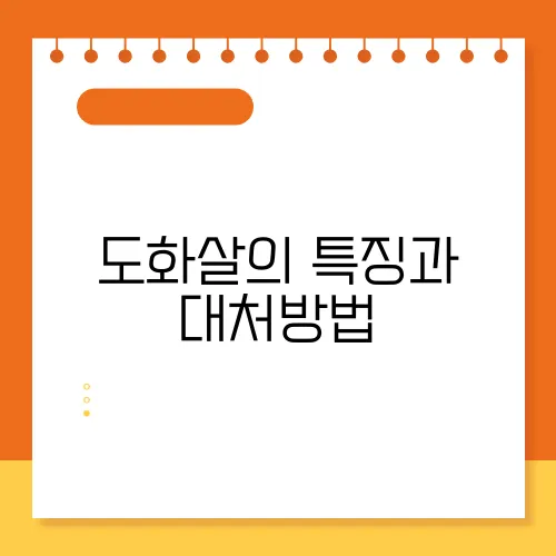 도화살의 특징과 대처방법
