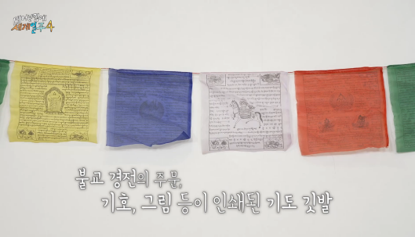 카메라 꺼지고 오열했다는 태계일주 기안편 | 인스티즈