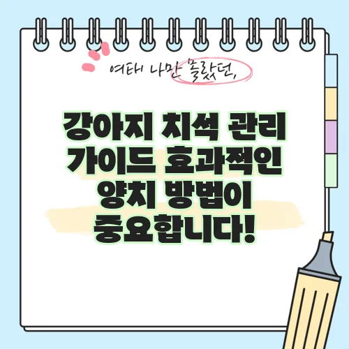 강아지 치석 관리 가이드 효과적인 양치 방법이 중요합니다!