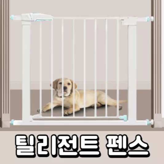 강아지-펜스
강아지-안전문
반려견-펜스
반려견-안전문
개-펜스
개-안전문
틸리전트