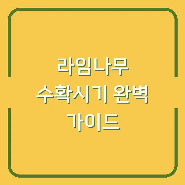 라임나무 수확시기 완벽 가이드