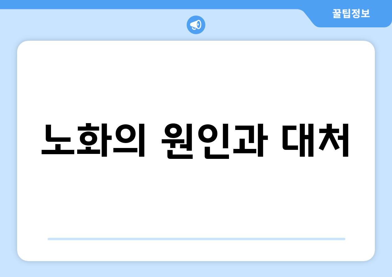 노화의 원인과 대처