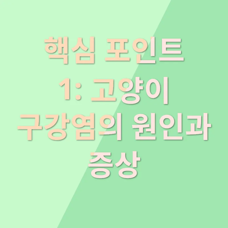 고양이 구강염 치료_1
