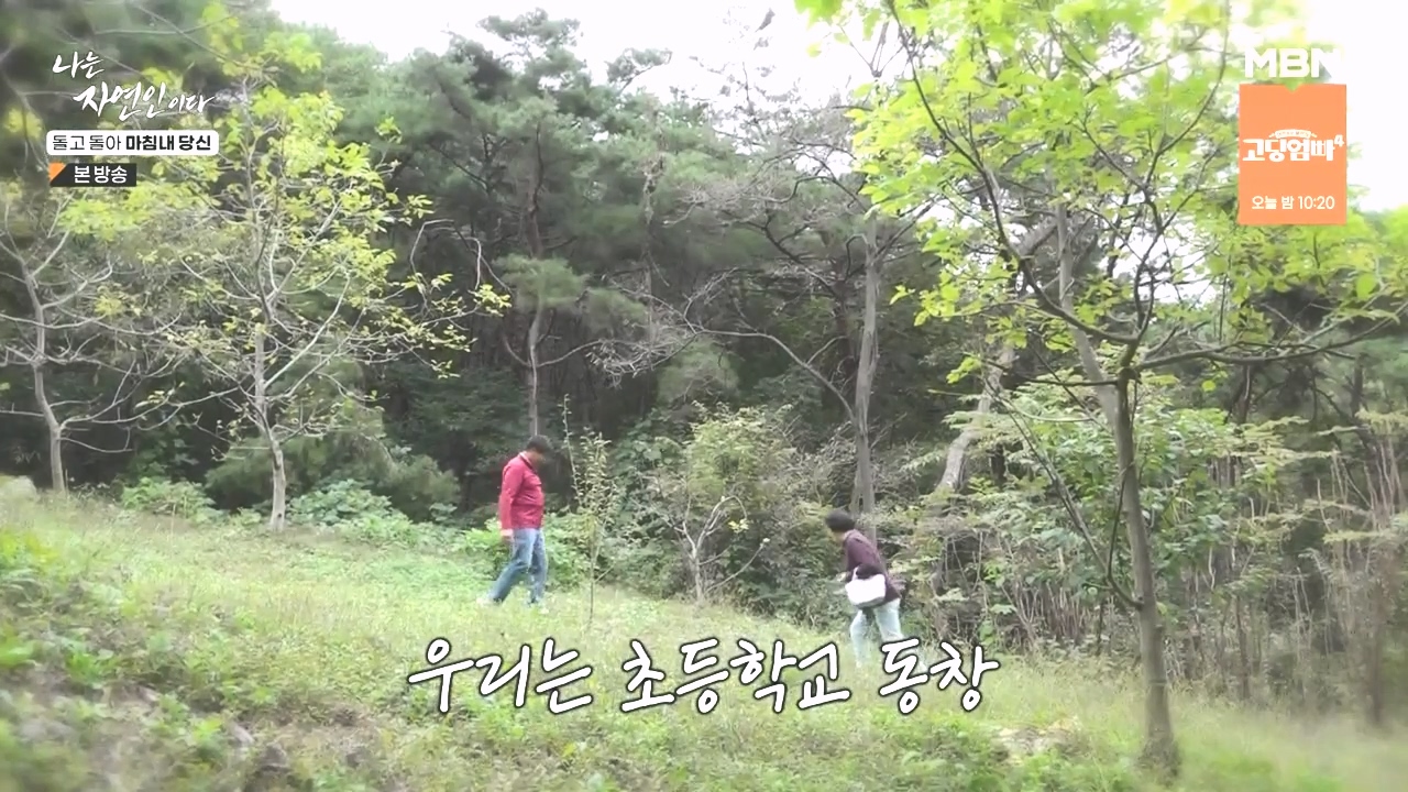 나는 자연인이다.E577.231026p-NEXT.mp4_20231026_200349.715.jpg