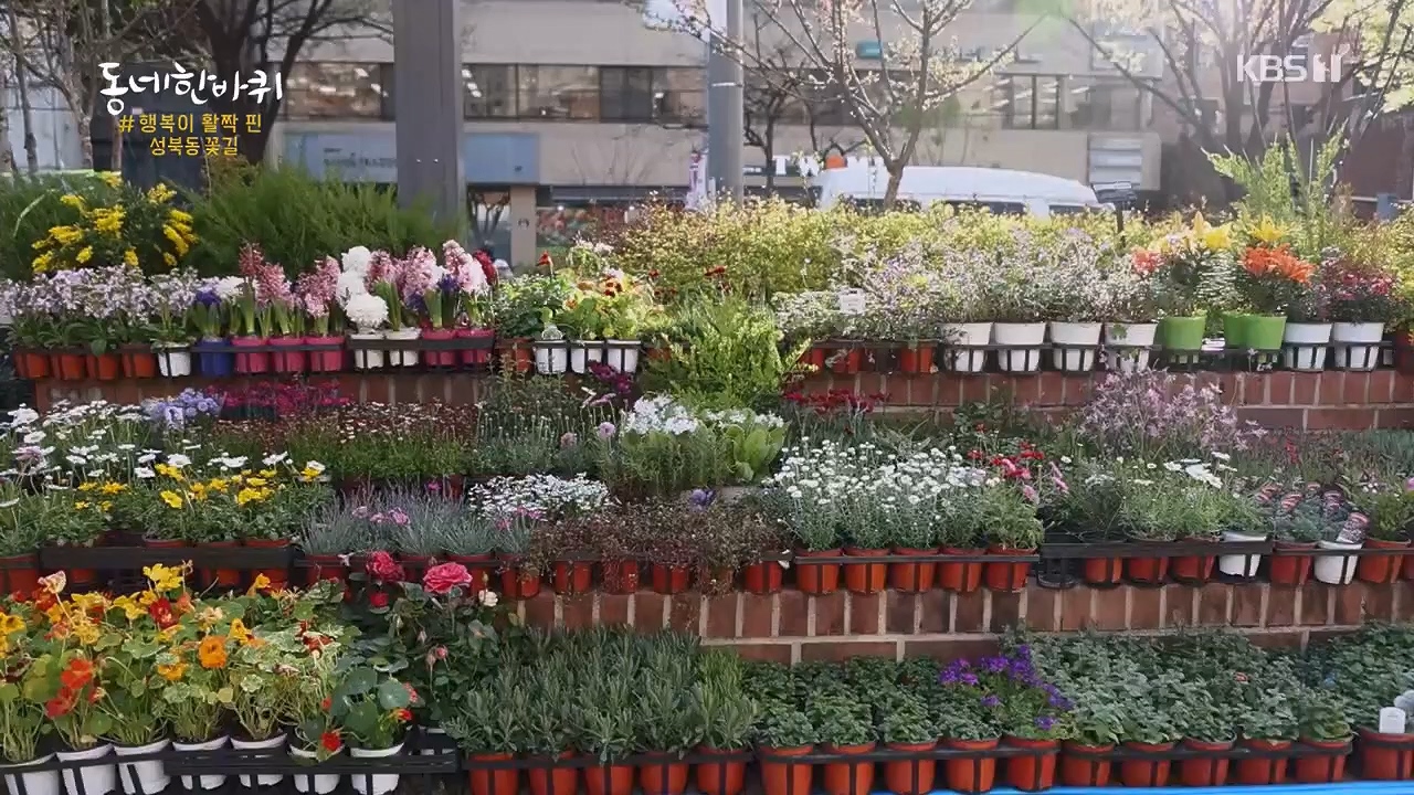 동네 한 바퀴.E218.230430p.H264-F1RST.mp4_20230502_203037.872.jpg