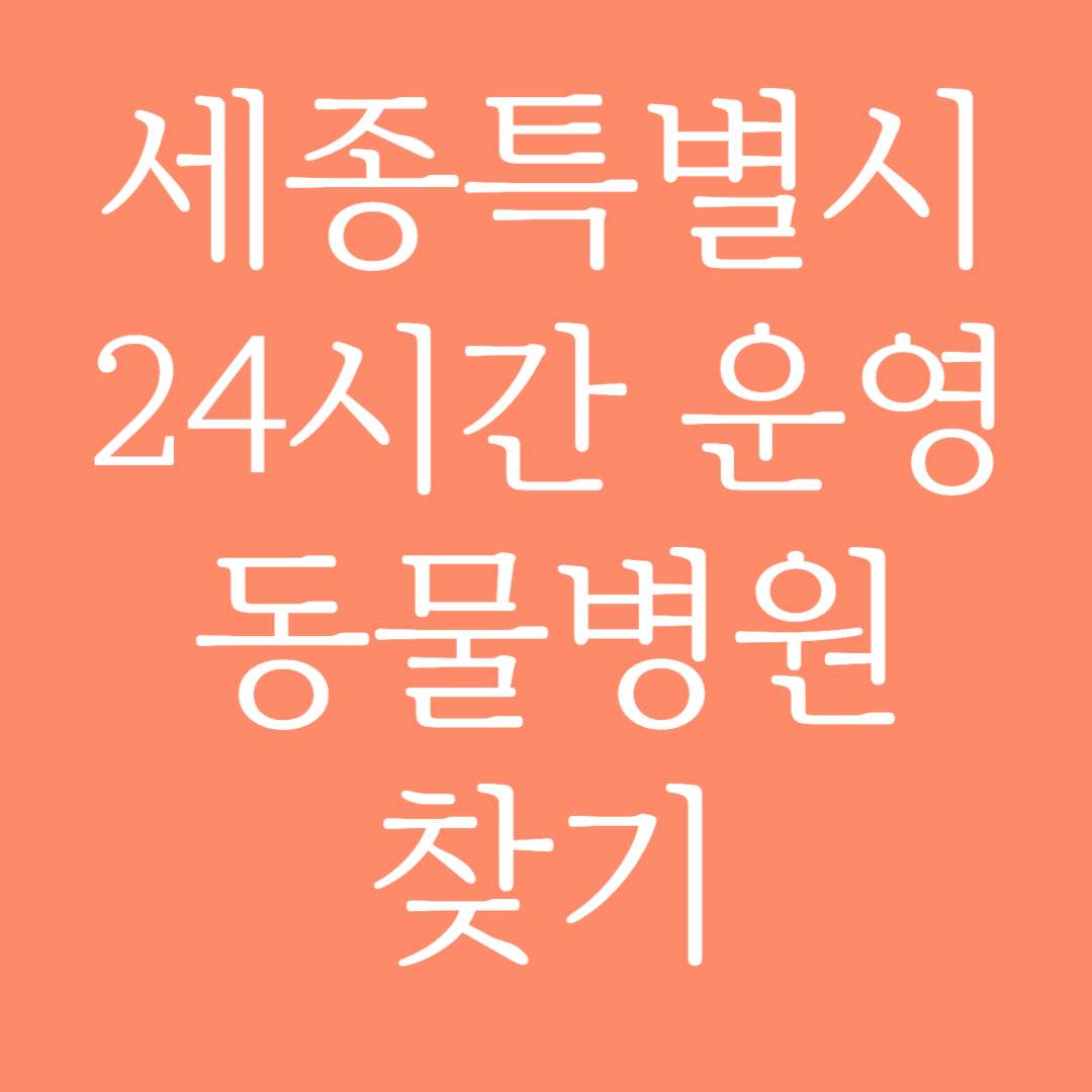 세종특별시 24시간 운영 동물병원 찾기