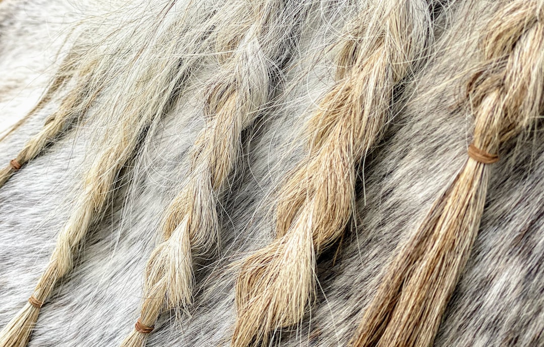Scalp