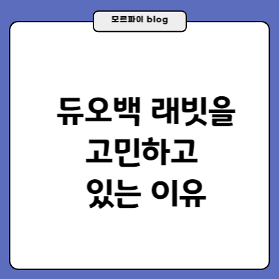 썸네일-듀오백-래빗을-고민하고-있는-이유