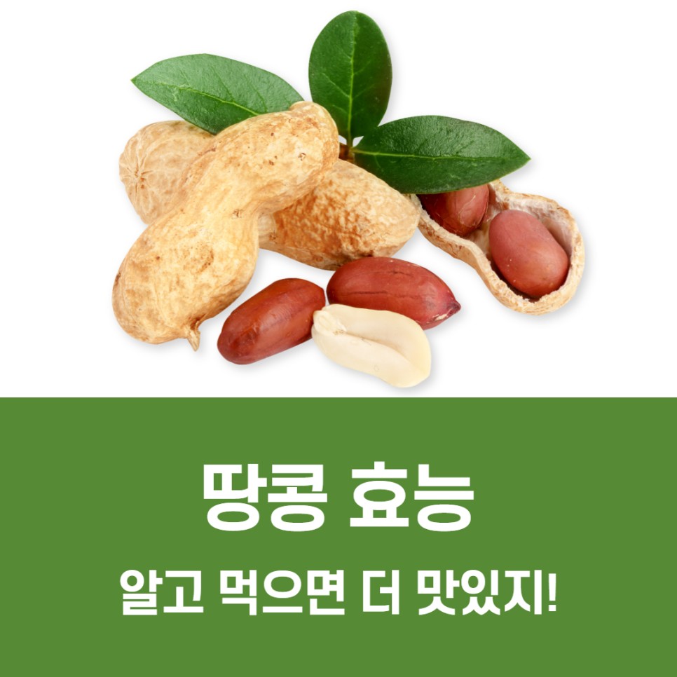땅콩 칼로리 땅콩 효능 3