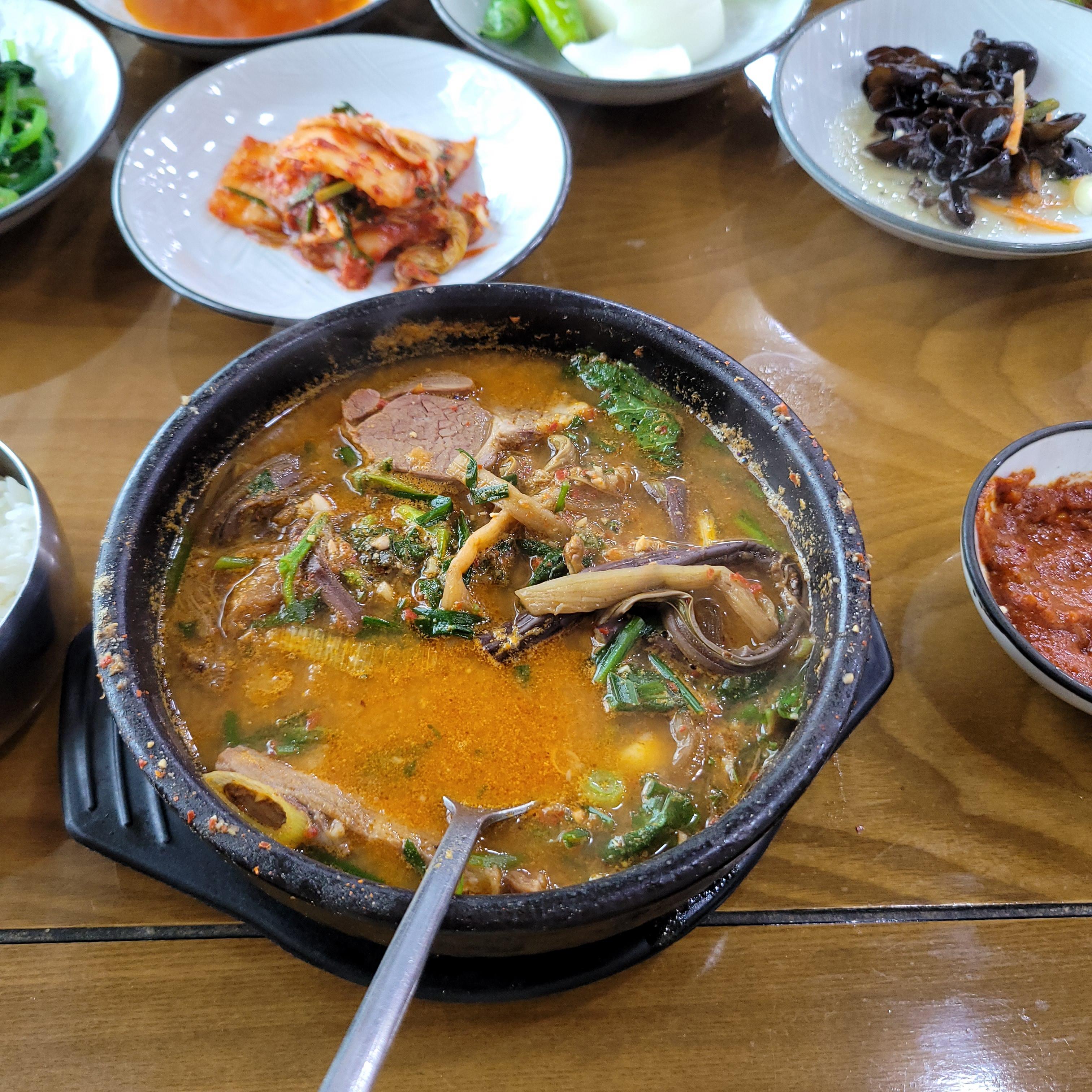  여자들에게 좋은 양탕 맛집 화순'일송정'