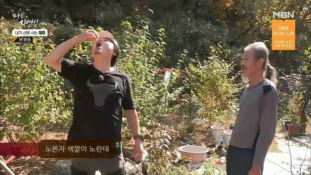 나는 자연인이다.E529.221124p.H264-F1RST.mp4_20221124_194720.242.jpg