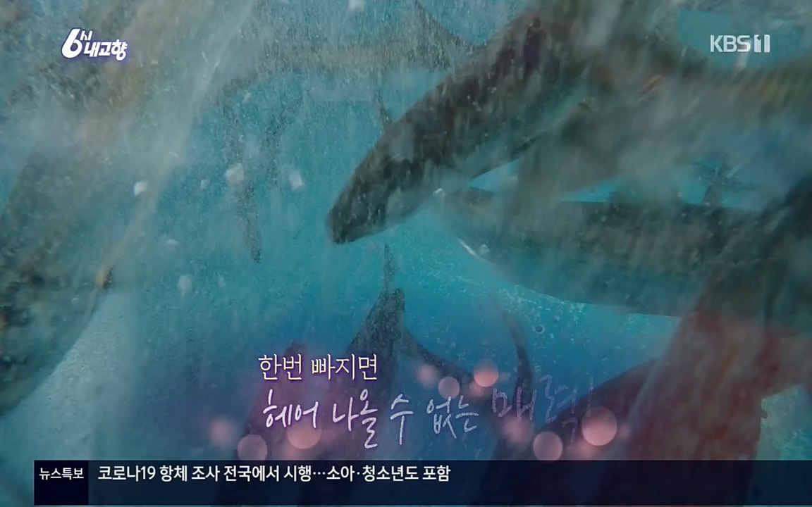 6시 내고향.E7505.220407p.H264-F1RST.mp4_20220411_180237.119.jpg