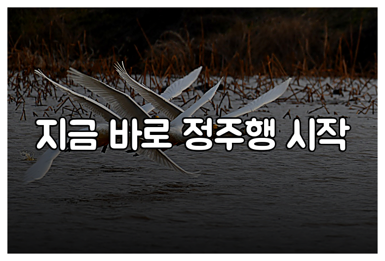 지금 바로 정주행 시작