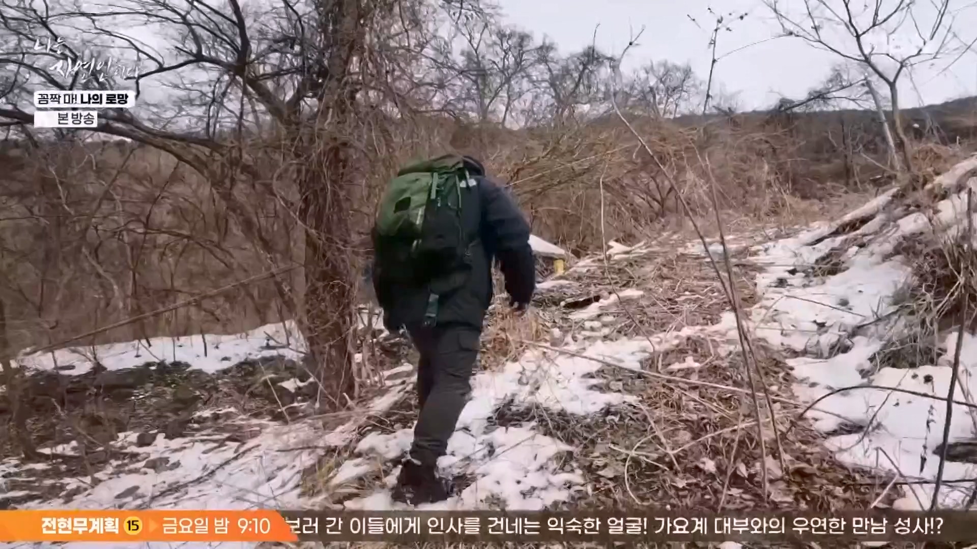 나는 자연인이다.E598.240320p-NEXT.mp4_20240321_202626.333.jpg