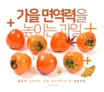 면역력 높이는 하루 루틴과 시간대별 건강 습관_22