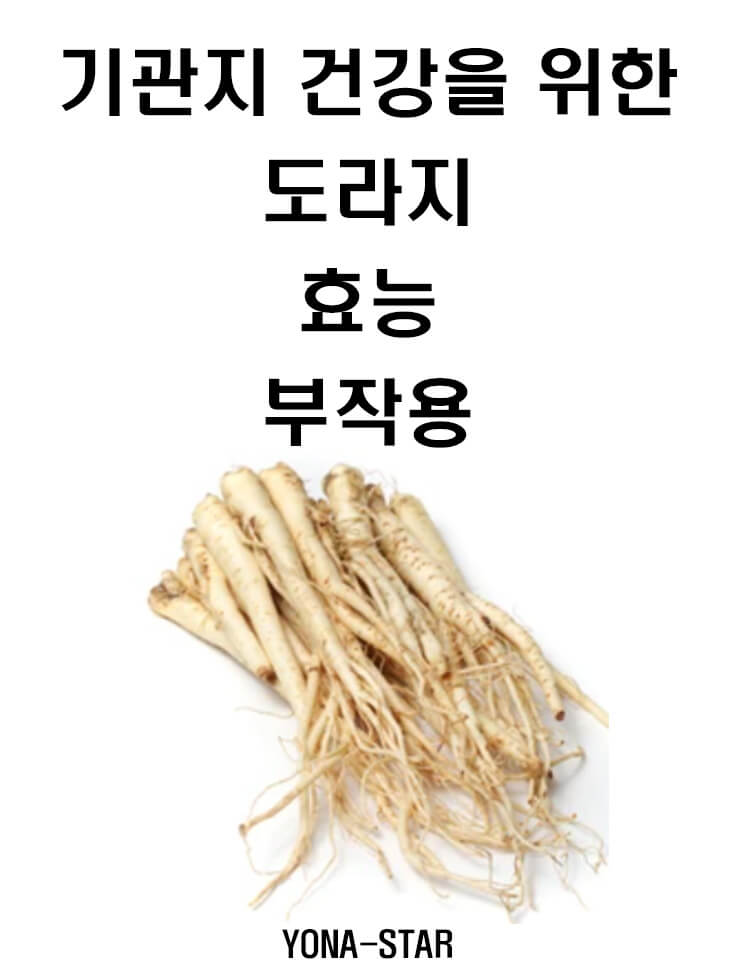  기관지 건강을 위한 도라지 효능 / 부작용