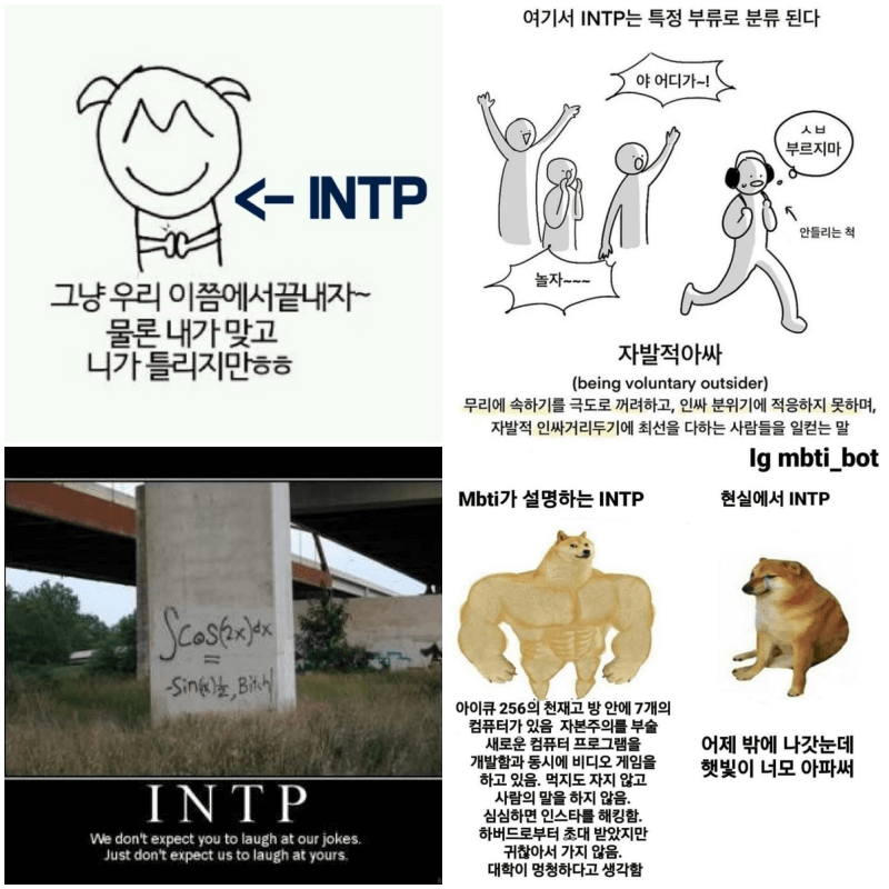 INTP 짤 4개