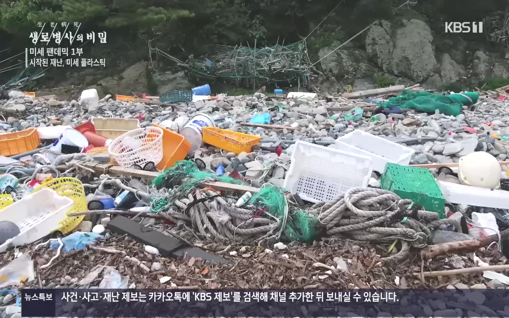 생로병사의 비밀.E839.221012p.H264-F1RST.mp4_20221013_201645.873.jpg