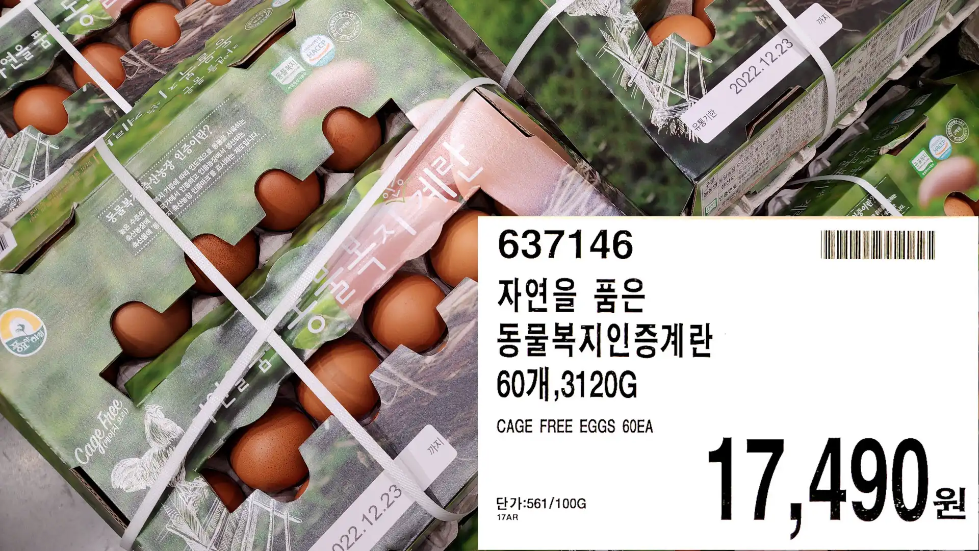 자연을 품은
동물복지인증계란
60개&#44;3120G
CAGE FREE EGGS 60EA
17&#44;490원