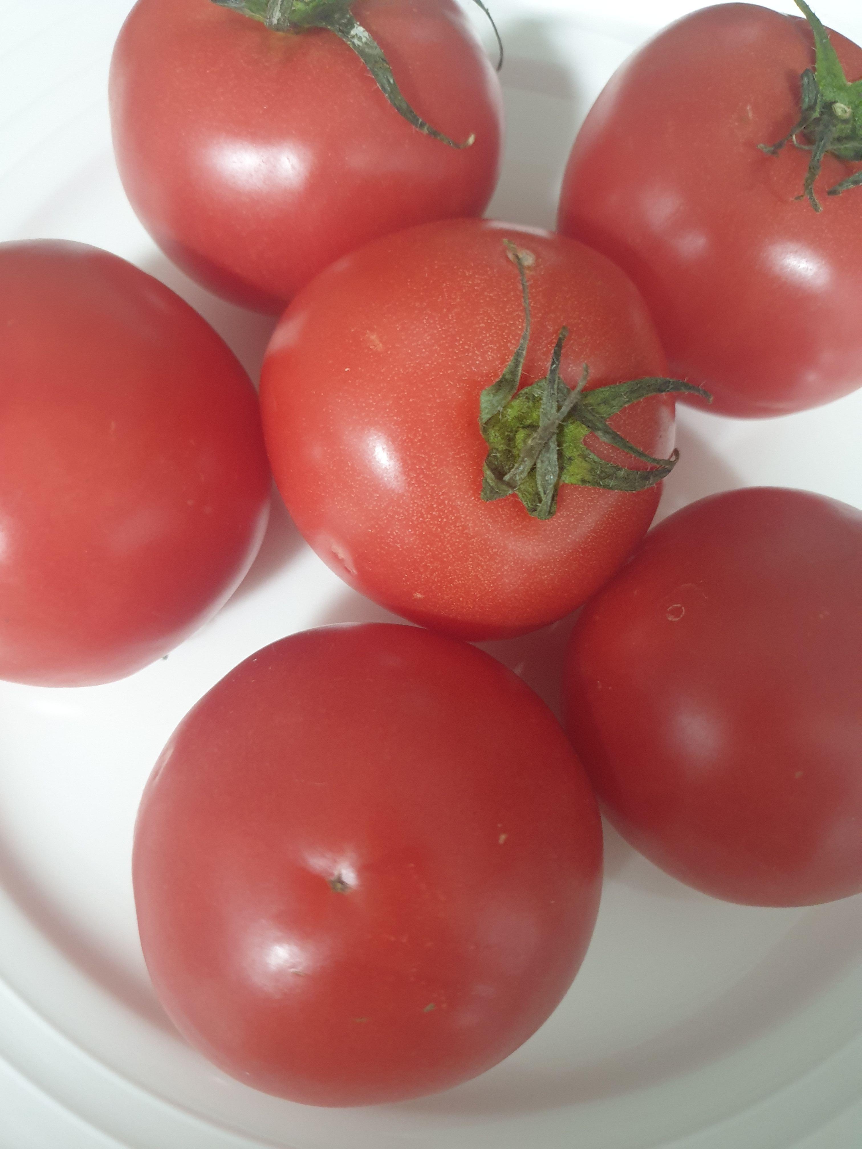잘 익은 빨간 토마토